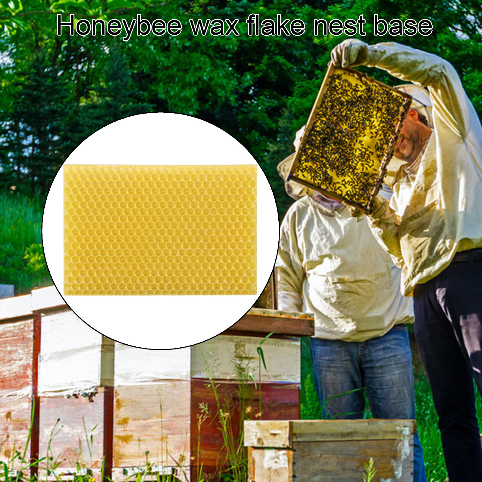 10pcs Bee Wax Foundation Bee Hive Wax Frames Base Sheets Bee Comb Honey  Frame Beeswax Sheets