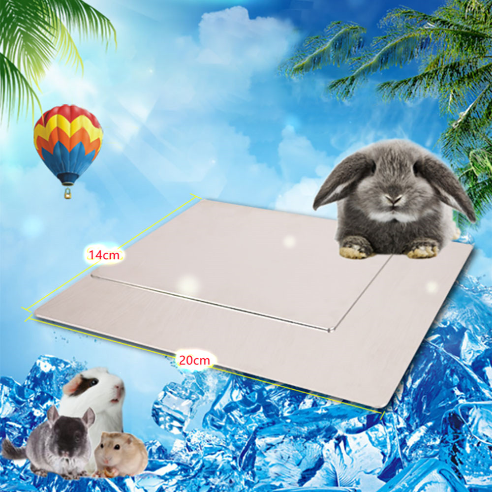 Letnia deska aluminiowa dla psa z matą rozpraszającą ciepło - dekoracja dla małych zwierząt - Wianko - 6