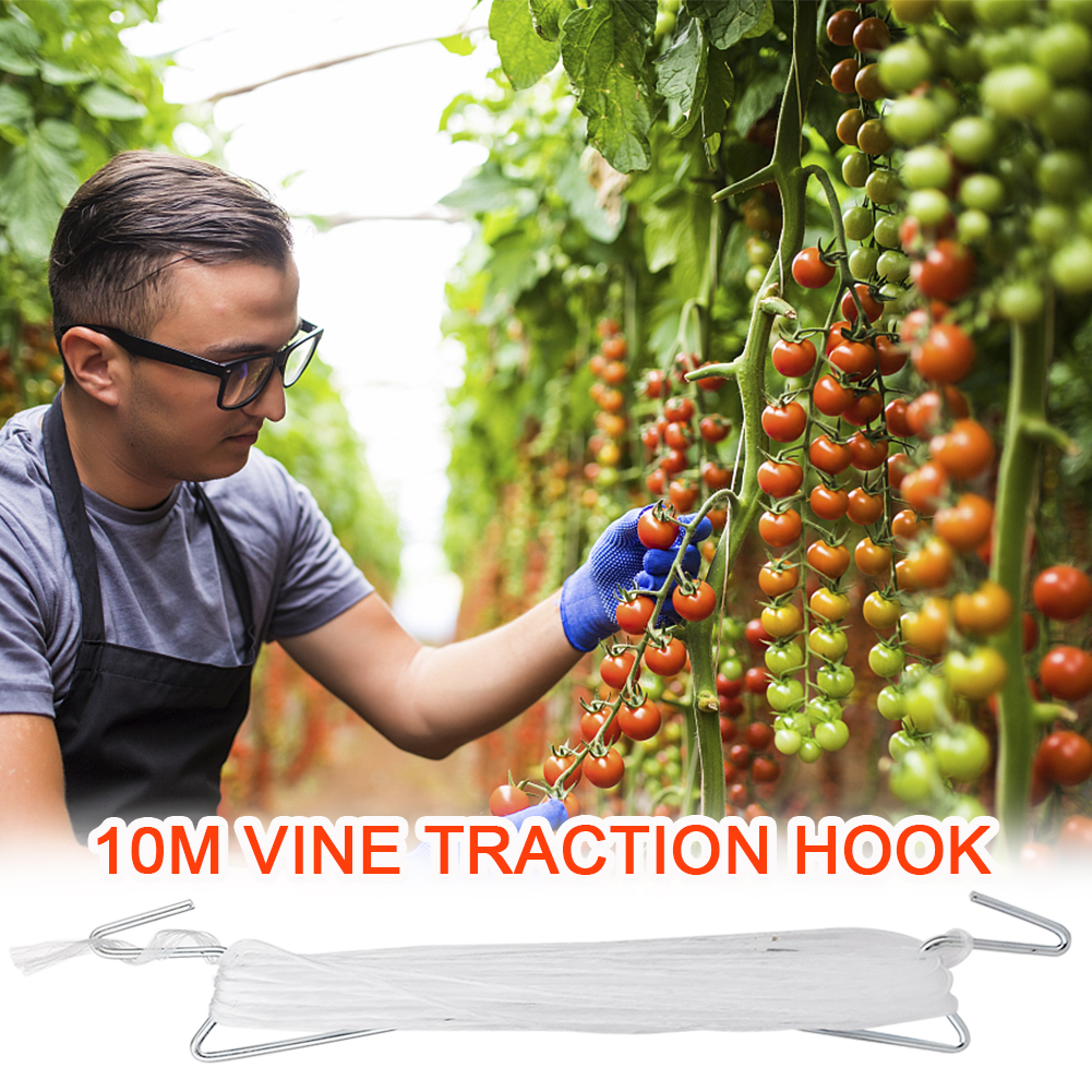 100 Pcs Tomato Support J Hooks Vegetable Clips Plants Support Binder for Garden Plant Fruit Support Tomato Support Clips